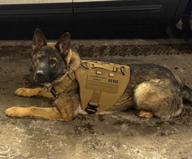 Stearns County Sheriff’s K9 Officer Gets New Bulletproof Vest | KNSI